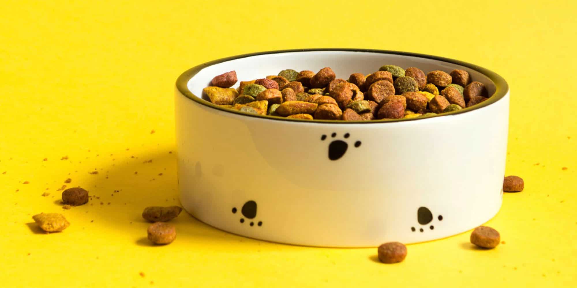 غذا گربه مدیکال حاوی مواد مغذی برای تقویت استخوان ها